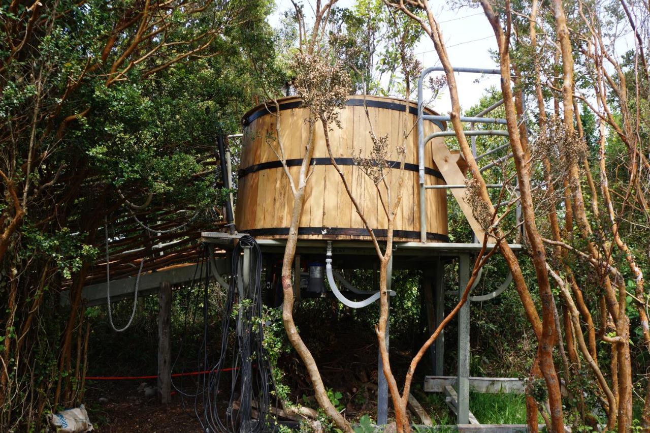 Cabanas Vista Tranquila Chiloe Castro Eksteriør bilde