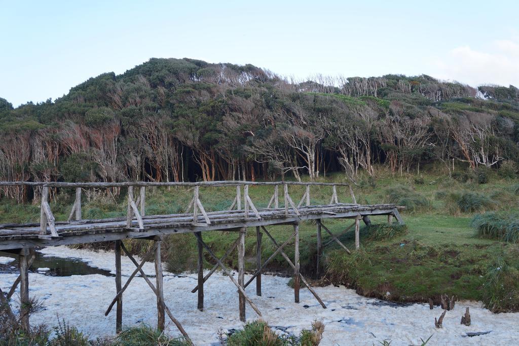 Cabanas Vista Tranquila Chiloe Castro Eksteriør bilde